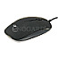 Conceptronic REGAS01B Regas Optical Desktop Mouse USB schwarz