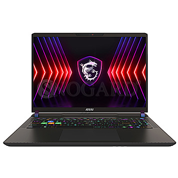 40.6cm(16")MSI Vector 16 HX A13VHG-459 i9-14900HX 32GB 1TB M.2 RTX4080 W11