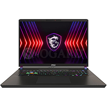 43.1cm(17")MSI Vector 17 HX A14VHG-1009 i9-14900HX 32GB 1TB M.2 RTX4080 W11