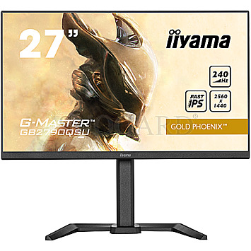 68.6cm (27") Iiyama G-Master GB2790QSU-B5 Gold Phoenix IPS WHD 240Hz