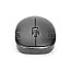 Digitus DA-20161 Wireless Optical Mouse optisch schwarz