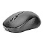 Digitus DA-20161 Wireless Optical Mouse optisch schwarz